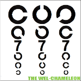 Xg[GbW[x^THE WEL-CHAMELEONu777v